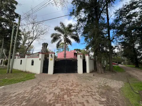 CARLOS REYLES  al 3700