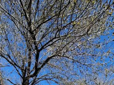 Rio turbio 600, Piso 0