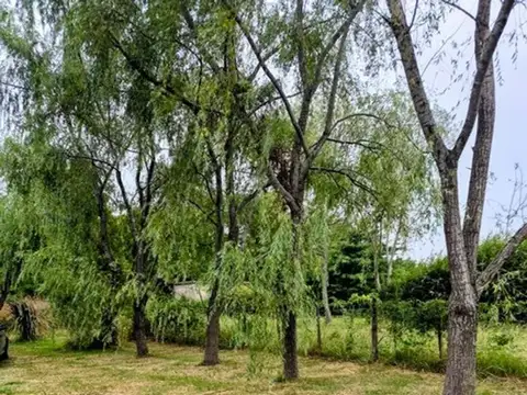 Terreno en Venta en Duggan, USD 35.000