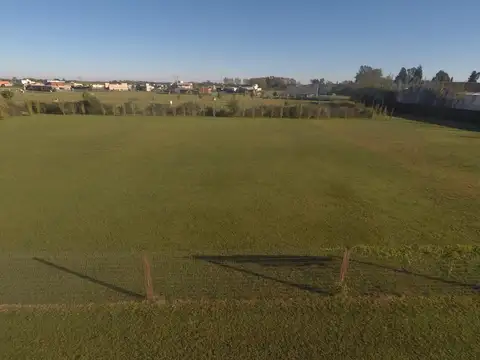 Hipolito Irigoyen 1200