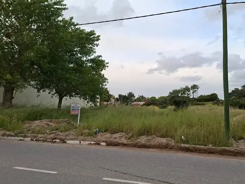 Entre Paseo 137 y Paseo 139 y entre Av. 12 y 100