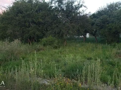 Terreno en Venta en Los Troncos, USD 15.000