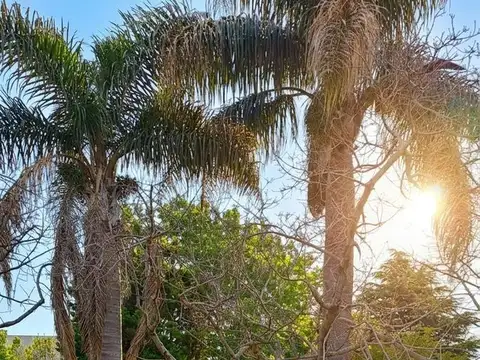 Terreno en Venta en Barrio Alemán, USD 430.000