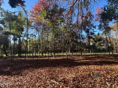 Terreno en Venta 36  mts Fondo