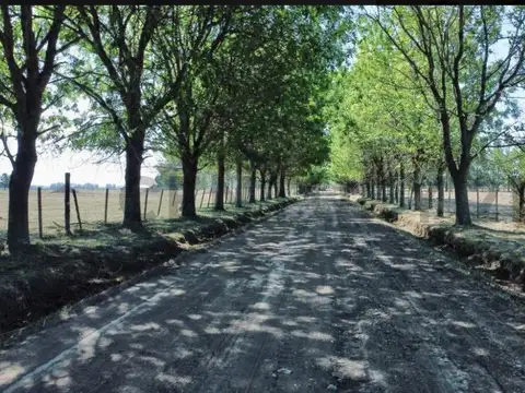 Terreno en venta - 432mts2 - Don Jemel II, Abasto, La Plata