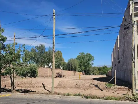Terreno en Venta en Coronel Dorrego, USD 450.000