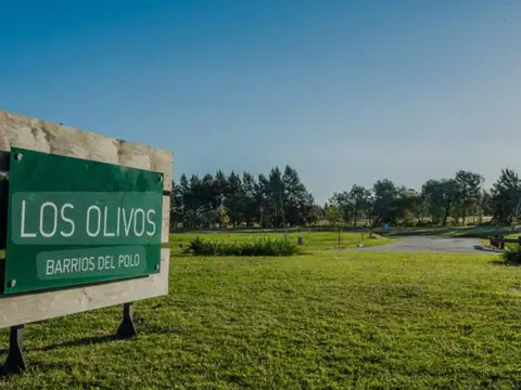 Vende Terreno en Barrio Los Olivos Carrasco Norte