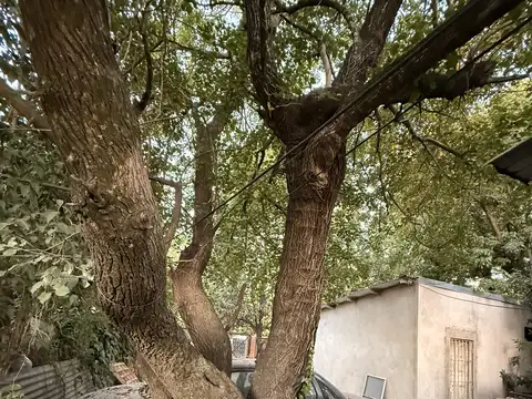 Casa en Venta al Noreste