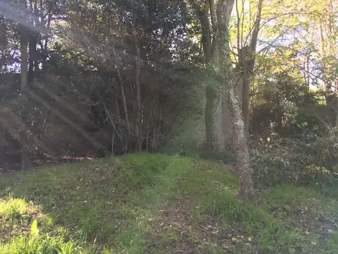CAMPO CON CASA ANTIGUA. Zona de criadores de caballos de Polo.