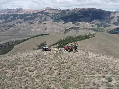 Campo de 2400 Has en venta en Rio Negro - Patagonia Argentina - Fly Fishing