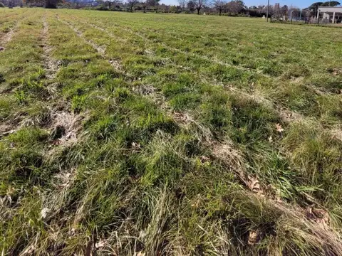 Terreno en Venta de 600,0 m2
