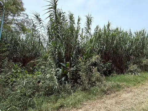 Terreno en venta escritura lote propio 898 m2