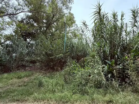Terreno en Venta 44  mts Fondo