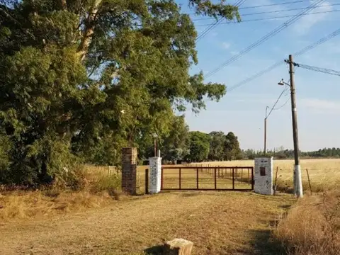 Campo en venta - 80.000Mts2 - 5 Dormitorios 3 Baños - Cocheras - Lomas de Fátima