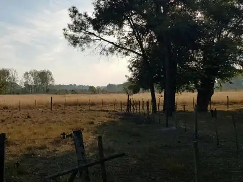 Campo en venta - 80.000Mts2 - 5 Dormitorios 3 Baños - Cocheras - Lomas de Fátima