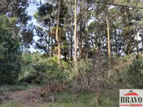 Terreno / Lote en venta, Mar de las Pampas