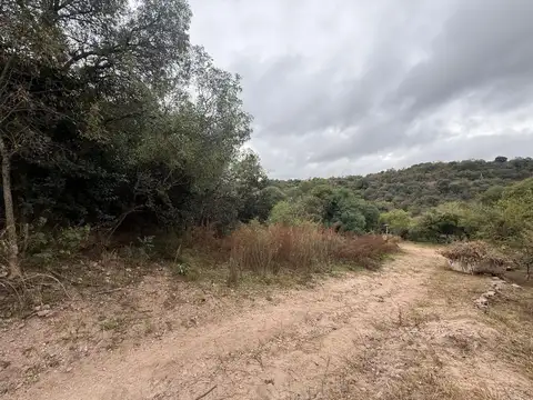 Venta de lotes en rio ceballos