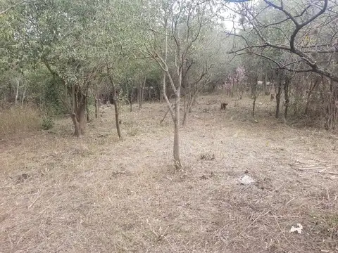 Terreno en Venta en Villa Cerro Azul, USD 8.000
