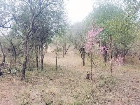 Villa Cerro Azul
