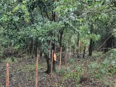 VENDO TERRENO EN CERRO AZUL