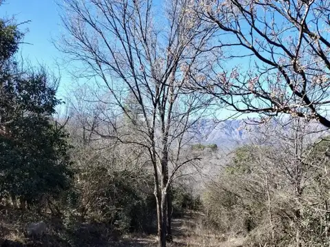 Terreno en Venta de 2,0 m2