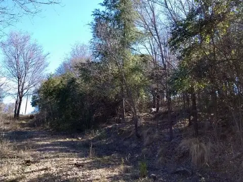 2,3 has - NONO, Traslasierra