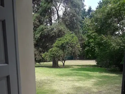 Bernardo de Irigoyen 1200