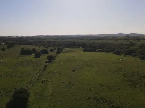 camino vecinal corte de la leña
