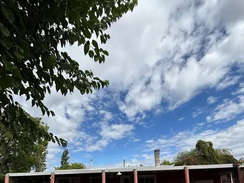 Quinta en Venta en General Alvear, Mendoza