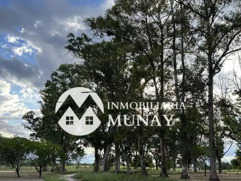 Terreno en Venta de 314,0 m2