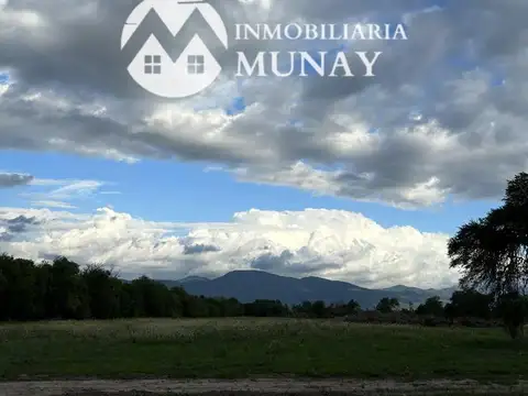 Terreno En Venta Los Olmos 360 Zona Sur