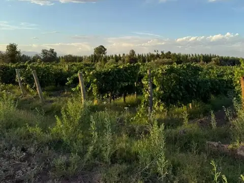 Terreno en Venta de 240000,0 m2
