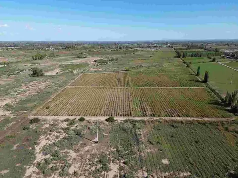Terreno en Venta en Algarrobal Abajo, Las Heras