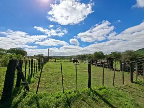 La Sierrita 100