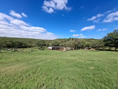 VENTA CAMPO 78 HECTAREAS VILLA DEL DIQUE