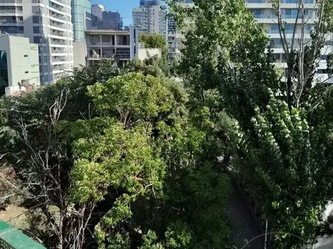 Luminoso departamentoen venta en Vicente López