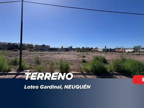 Terreno en Venta en Neuquen, Confluencia