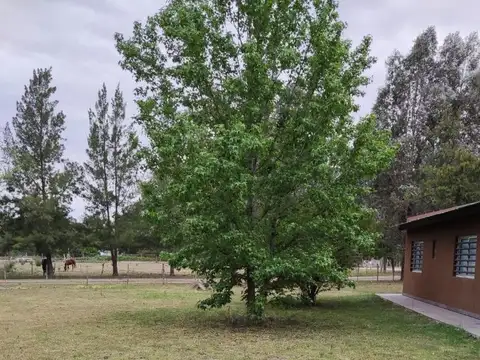 Quinta venta La Plata