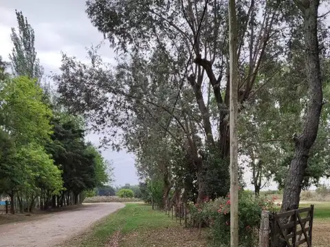 Quinta en Venta de 2 dormitorios