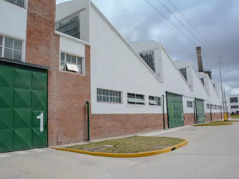 Martin Rodriguez  al 100