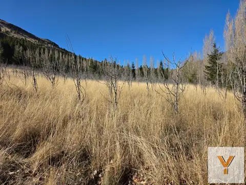Terreno en Venta en Esquel, USD 25.000