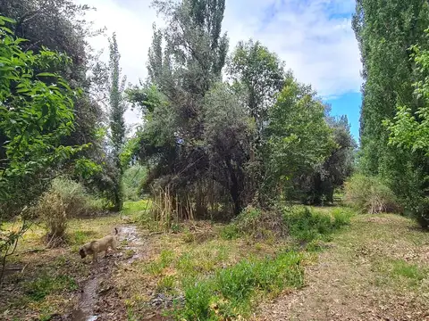 Terreno en venta en el corazón de Chacras de Coria 