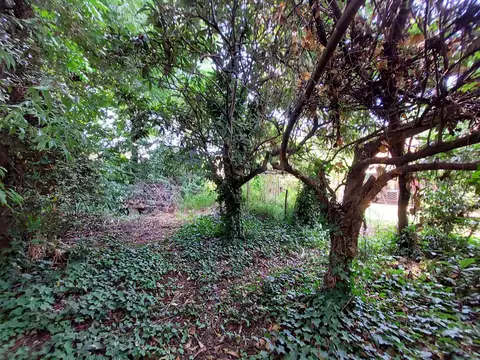 Terreno en Venta en Ituzaingo Norte, USD 500.000