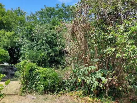 Terreno en Venta 50  mts Fondo