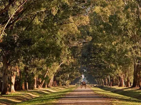 Terreno en Venta en Carlos Spegazzini, USD 25.000