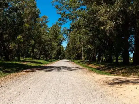 Terreno en Venta de 1000,0 m2