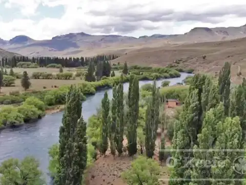 Bariloche  chacras Rio Limay 51,55 Has