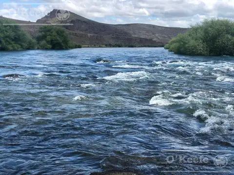 Bariloche  chacras Rio Limay 51,55 Has