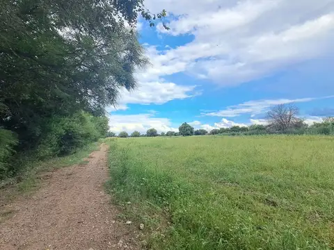 Campo 28.300m2 con galpon y casa a refaccionar