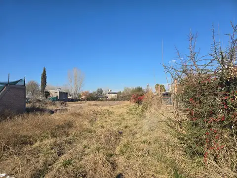 Terreno en Alquiler en Vistalba, Luján de Cuyo